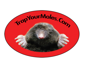 Trap Your Moles