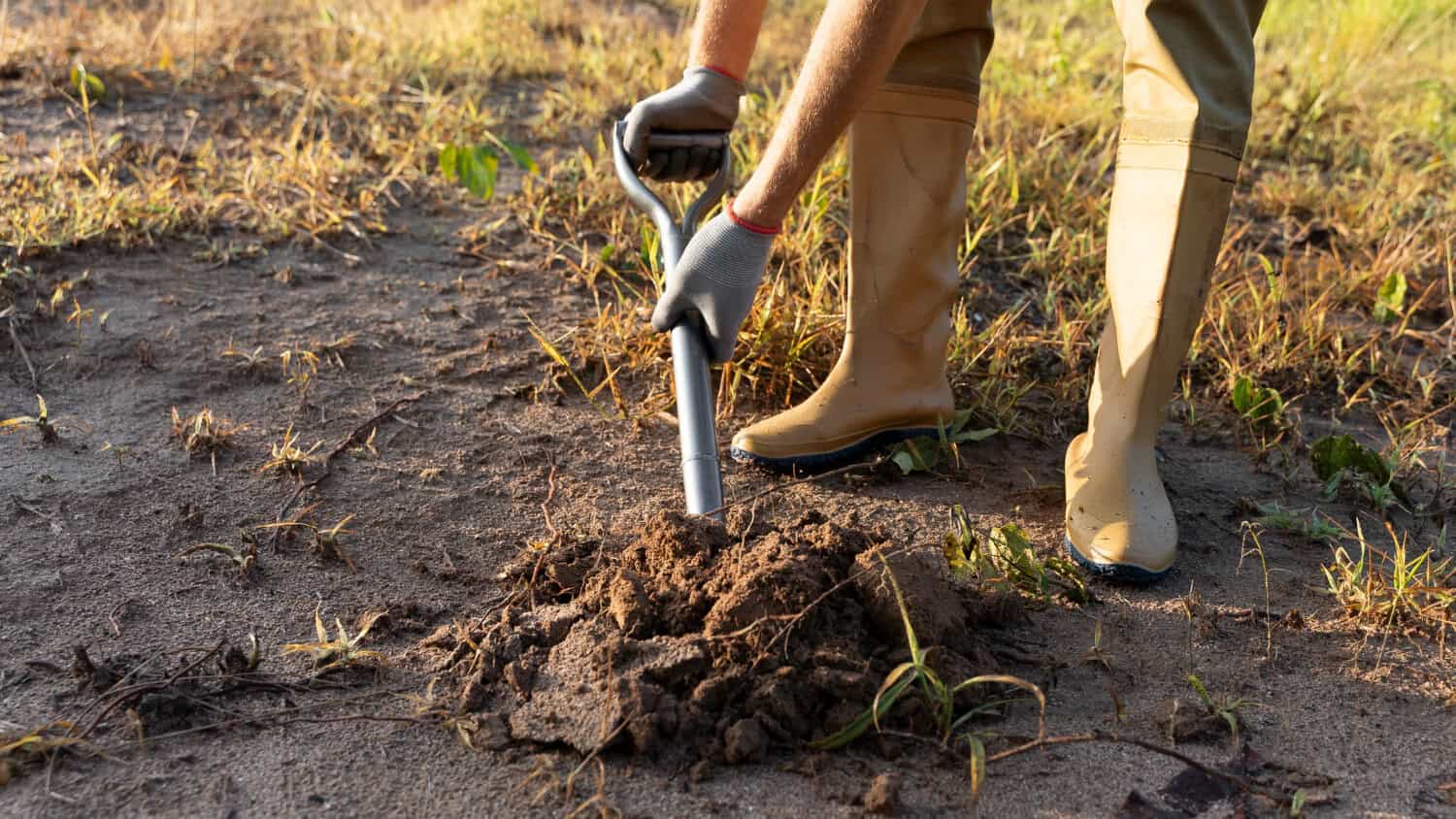 Installing Underground Barriers to Block Mole Entry