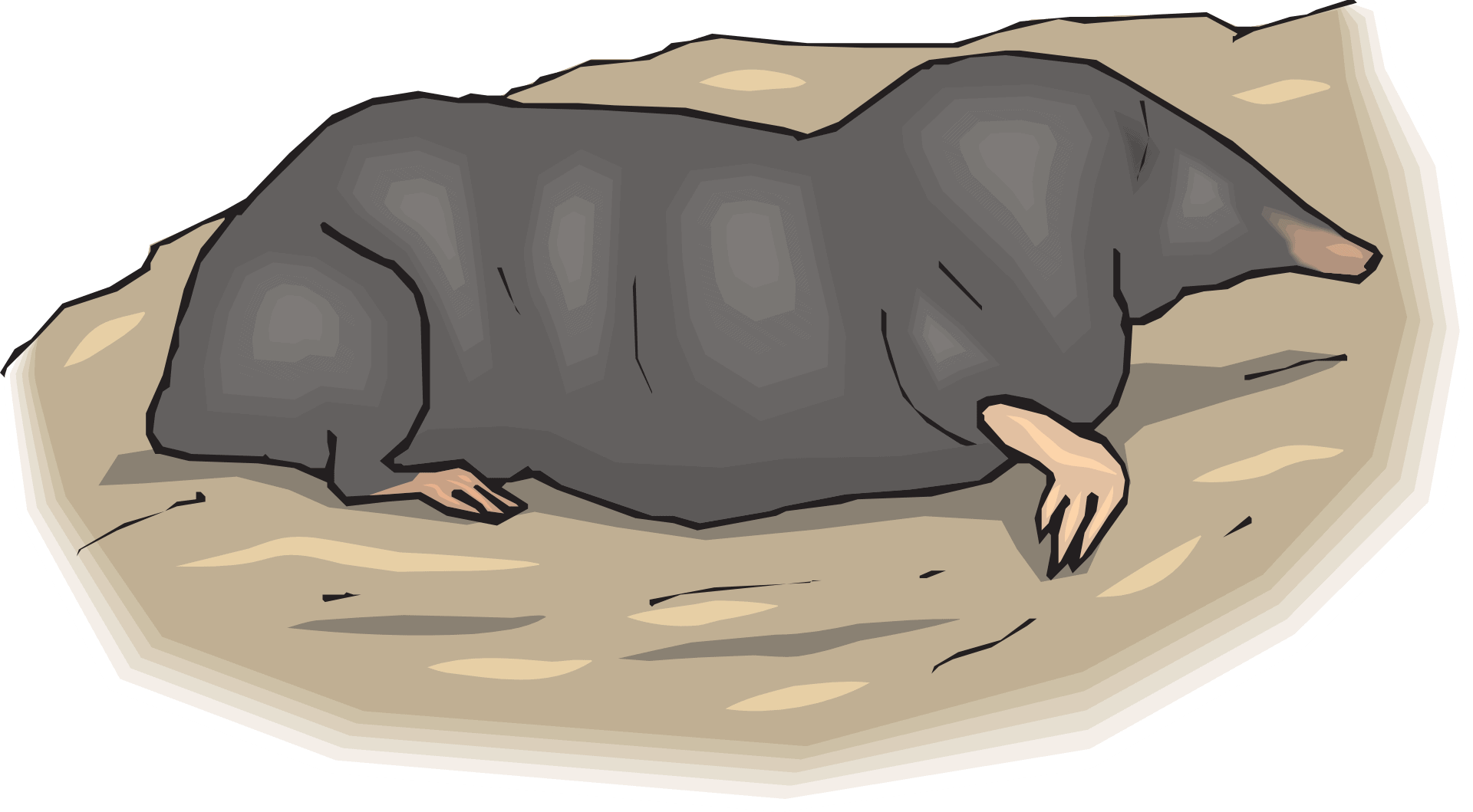 How Do I Get Rid of Ground Moles?