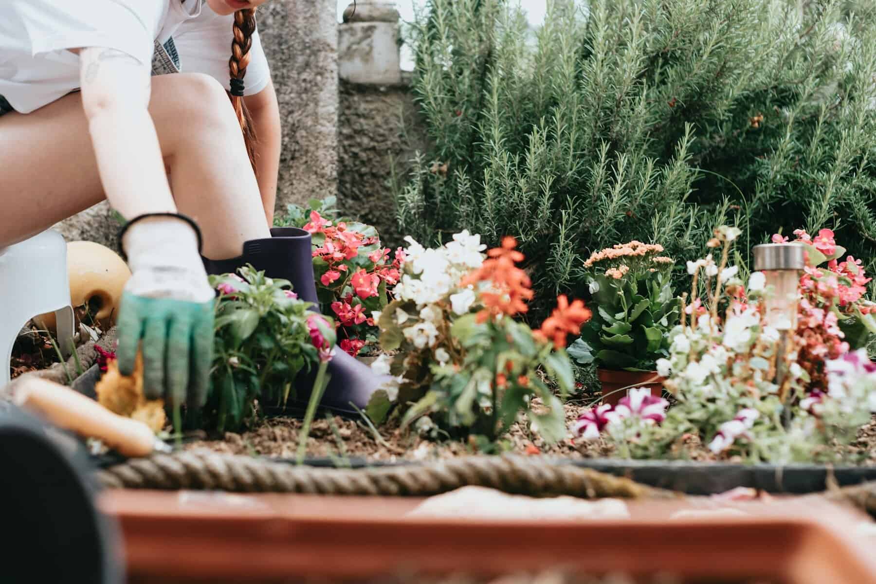 Steps to Take When Ground Moles Damage Your Flowerbeds