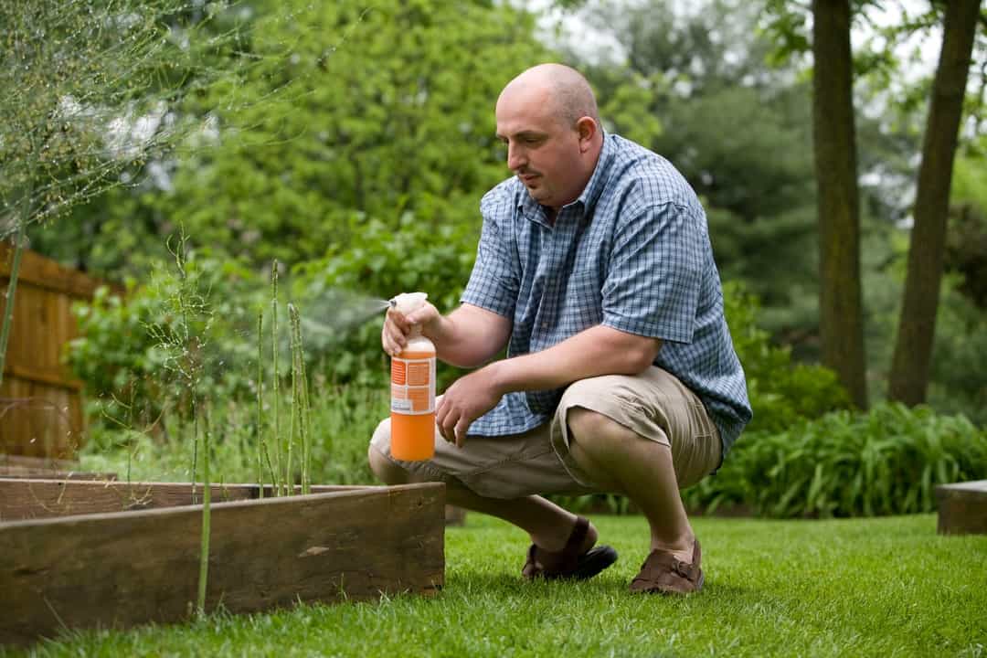 4 Signs of a Mole Infestation in Your Backyard or Garden
