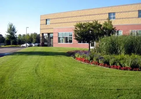 Commercial property mole control