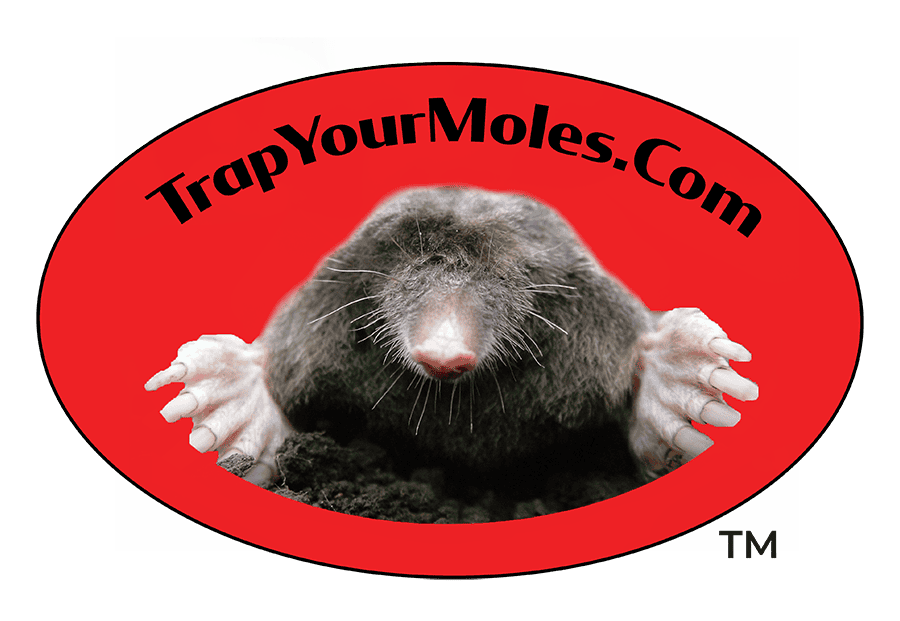 Trap Your Moles