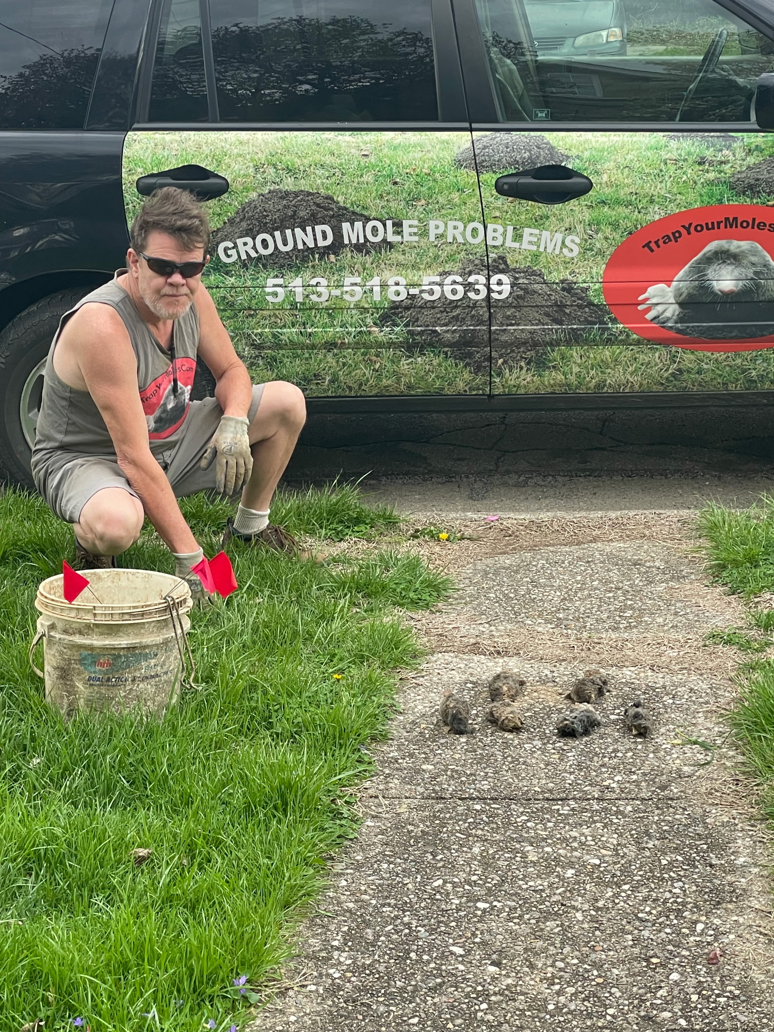 Trap Your Moles team