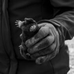 Hand holding a small mole animal, demonstrating mole removal process.